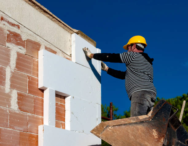 Best Geographic-Specific Insulation Services in Providence Village, TX